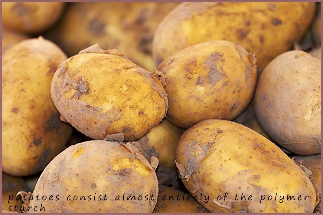Potatoes are mainly made from strach.